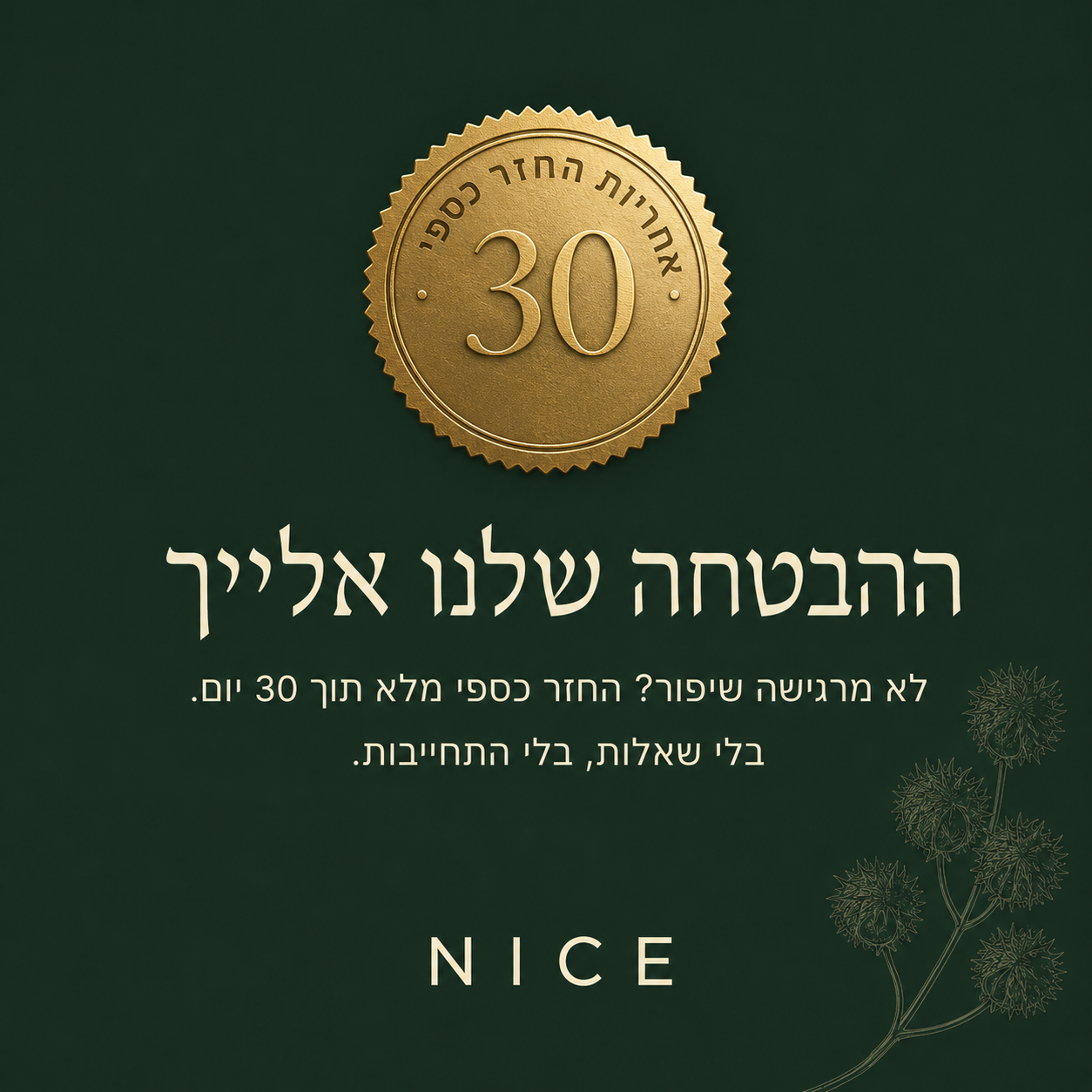 ערכת שמן קיק NICE