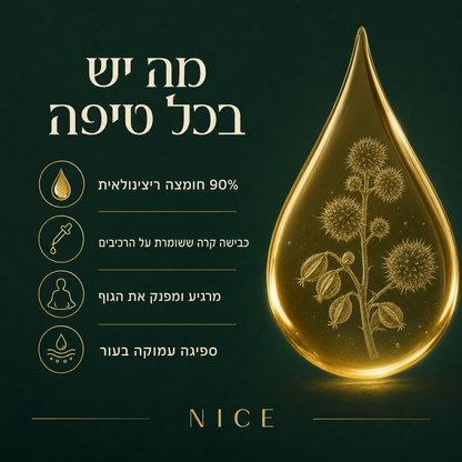 ערכת שמן קיק NICE