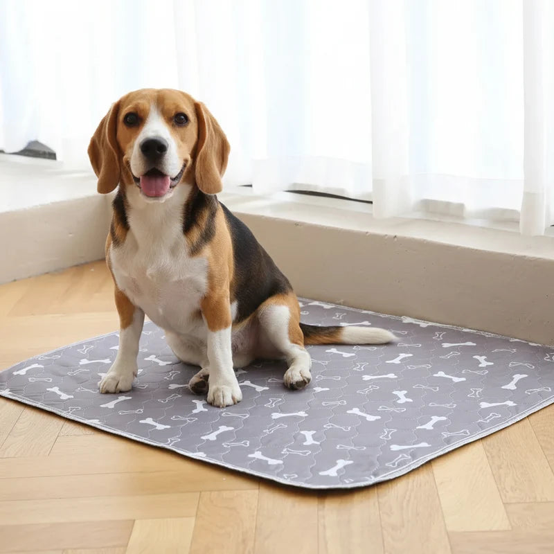 NicePaw® – משטח צרכים רב־פעמי לכלבים