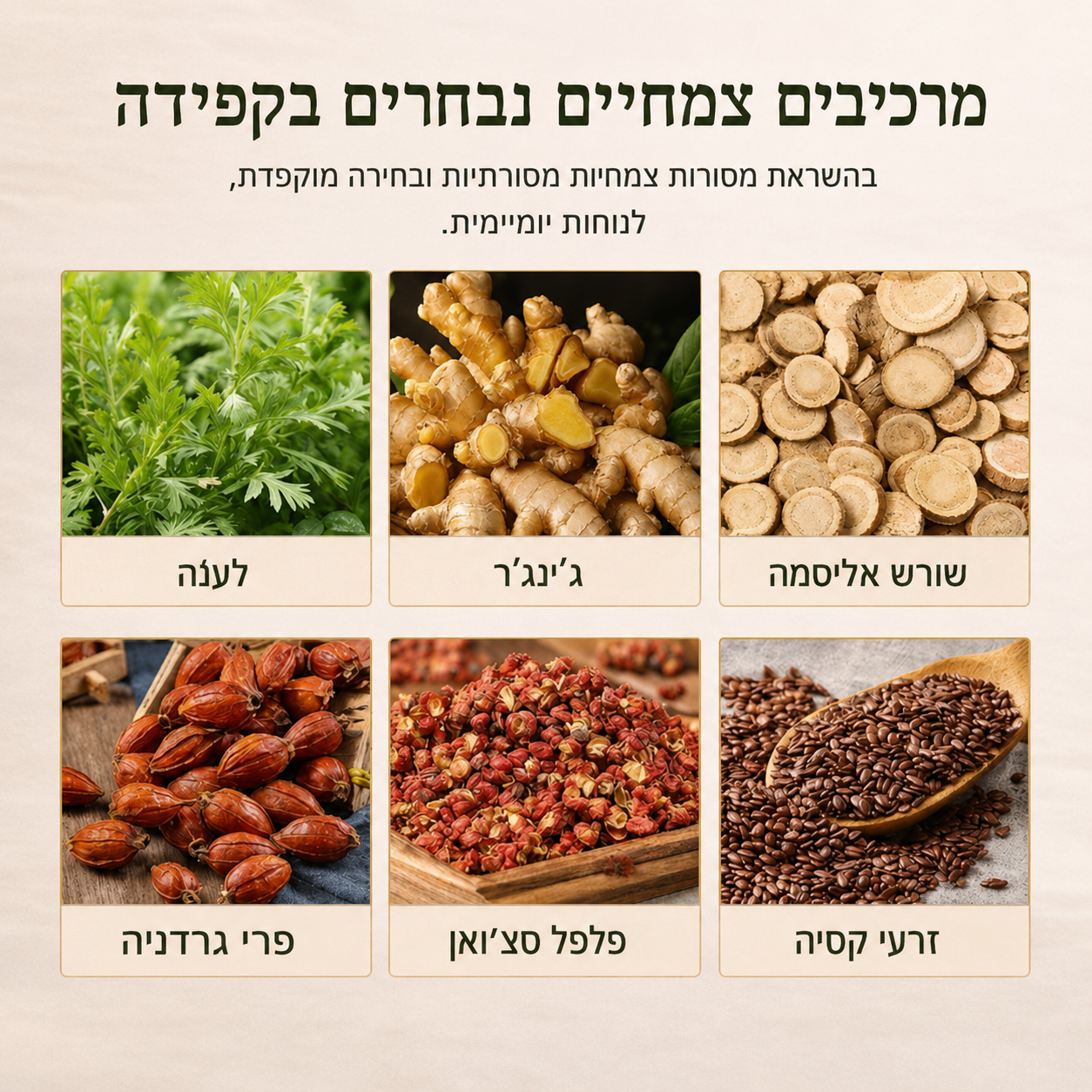 NICE - מדבקות צמחיות להקלה והרגעה של הבטן