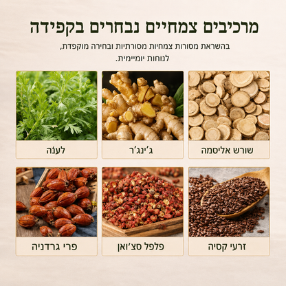 NICE - מדבקות צמחיות להקלה והרגעה של הבטן